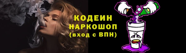 индика Куйбышев