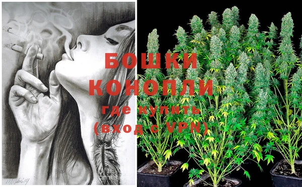 дживик Кукмор